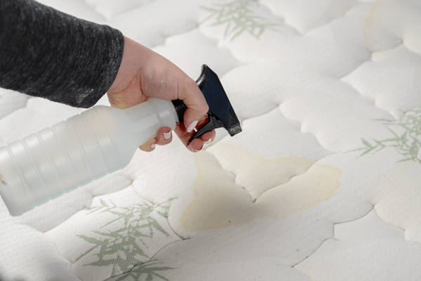 remove urine from meory foam mattress